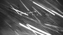 Veselíčko - park u zámku