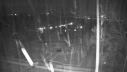 Veselíčko - park u zámku