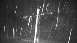 Veselíčko - park u zámku