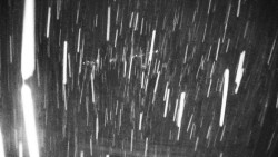 Veselíčko - park u zámku