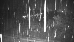 Veselíčko - park u zámku