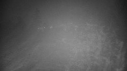 Veselíčko - park u zámku