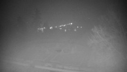 Veselíčko - park u zámku