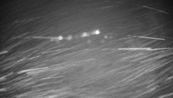 Veselíčko - park u zámku