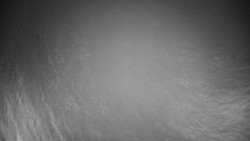 Veselíčko - park u zámku