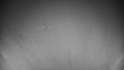 Veselíčko - park u zámku