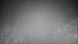 Veselíčko - park u zámku