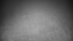 Veselíčko - park u zámku