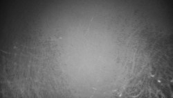 Veselíčko - park u zámku