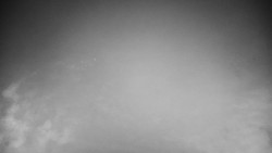 Veselíčko - park u zámku