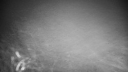 Veselíčko - park u zámku