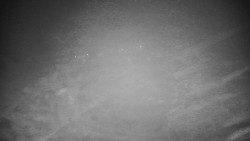 Veselíčko - park u zámku