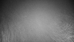 Veselíčko - park u zámku