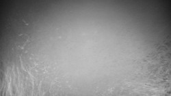 Veselíčko - park u zámku