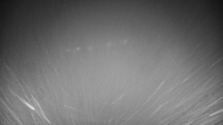 Veselíčko - park u zámku