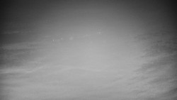 Veselíčko - park u zámku