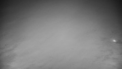 Veselíčko - park u zámku