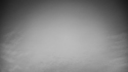 Veselíčko - park u zámku