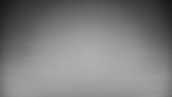 Veselíčko - park u zámku