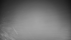 Veselíčko - park u zámku