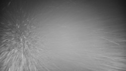 Veselíčko - park u zámku