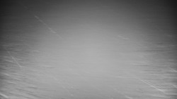 Veselíčko - park u zámku