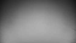 Veselíčko - park u zámku