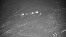 Veselíčko - park u zámku