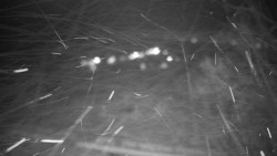 Veselíčko - park u zámku