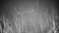 Veselíčko - park u zámku