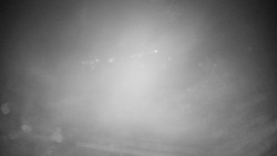 Veselíčko - park u zámku