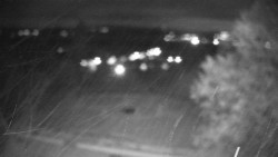 Veselíčko - park u zámku