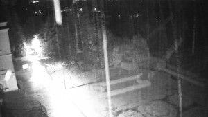 Obec Veselíčko - Příjezdová cesta k zámku - 3.11.2025 v 01:30 Obec Veselíčko - Příjezdová cesta k zámku - 3.11.2025 v 01:30