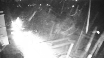 Snímek    3.11.2025 v 03:30