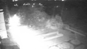 Snímek    3.11.2025 v 04:30