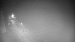 Příjezdová cesta k zámku