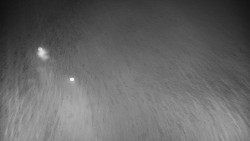 Příjezdová cesta k zámku