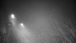 Příjezdová cesta k zámku