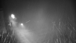 Příjezdová cesta k zámku