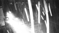 Příjezdová cesta k zámku