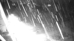 Příjezdová cesta k zámku