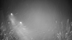 Příjezdová cesta k zámku