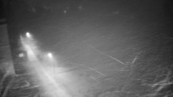 Příjezdová cesta k zámku