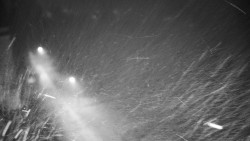 Příjezdová cesta k zámku