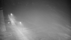 Příjezdová cesta k zámku