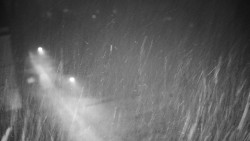 Příjezdová cesta k zámku