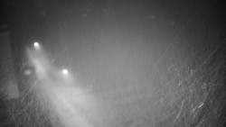 Příjezdová cesta k zámku