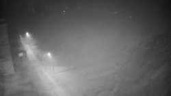 Příjezdová cesta k zámku