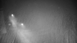 Příjezdová cesta k zámku