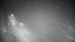 Příjezdová cesta k zámku